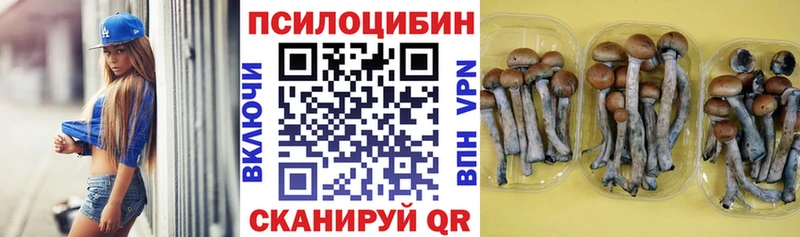 Псилоцибиновые грибы мухоморы  купить наркоту  Дятьково 