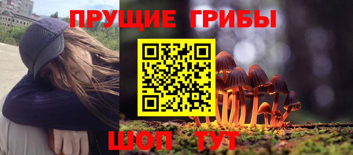 Псилоцибиновые грибы MAGIC MUSHROOMS  Вход с VPN  сколько стоит  Дятьково 