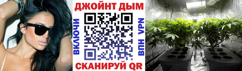 Каннабис ГИДРОПОН Дятьково